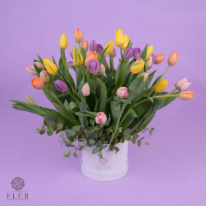 Luxury Tulips