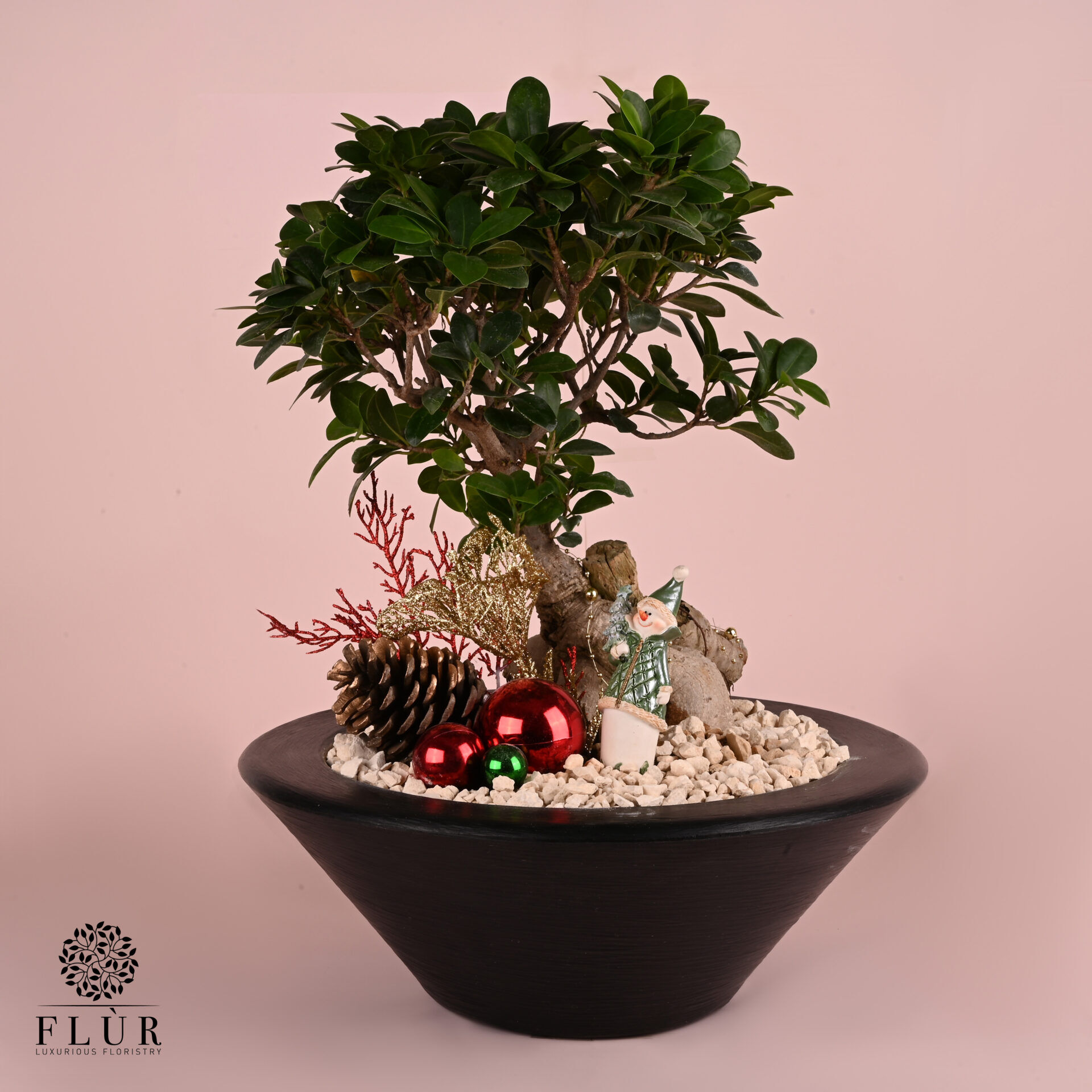 Joyful Bonsai Flùr Florsitry Delivery All Over Lebanon