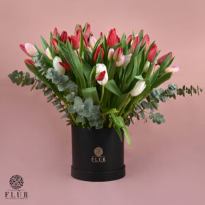 Tulip Love Treasure