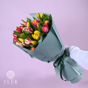 Spring Elegance Tulip