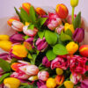 Tulip Charm