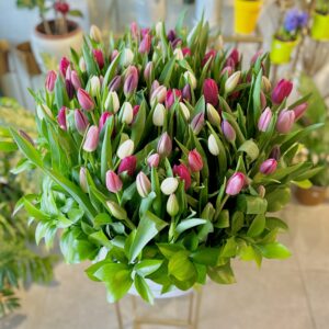 Tulip Garden Box